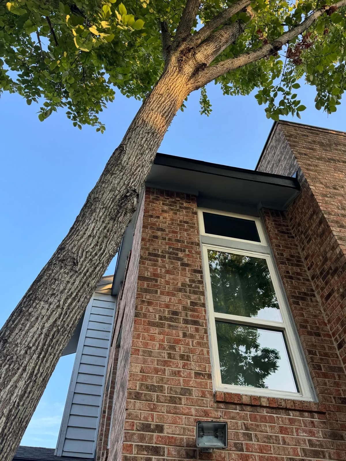 Royalis Windows recent installation photo